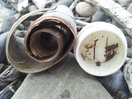 Plastic Pollution