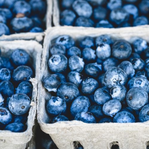How to Freeze Summer Fruits & Vegetables Without Plastic